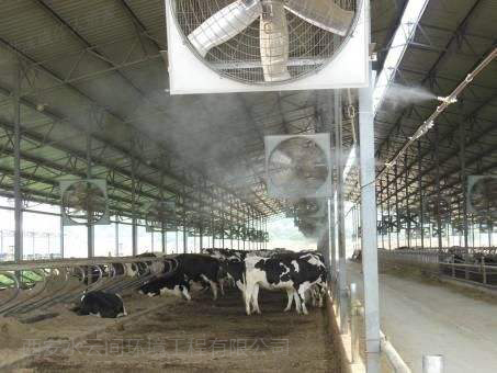 噴霧降溫設(shè)備在畜牧業(yè)中的應(yīng)用