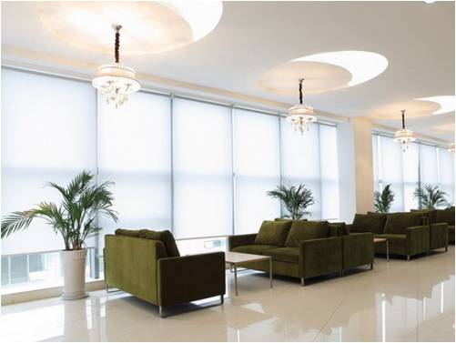 辦公室不同空間如何進行綠化裝飾