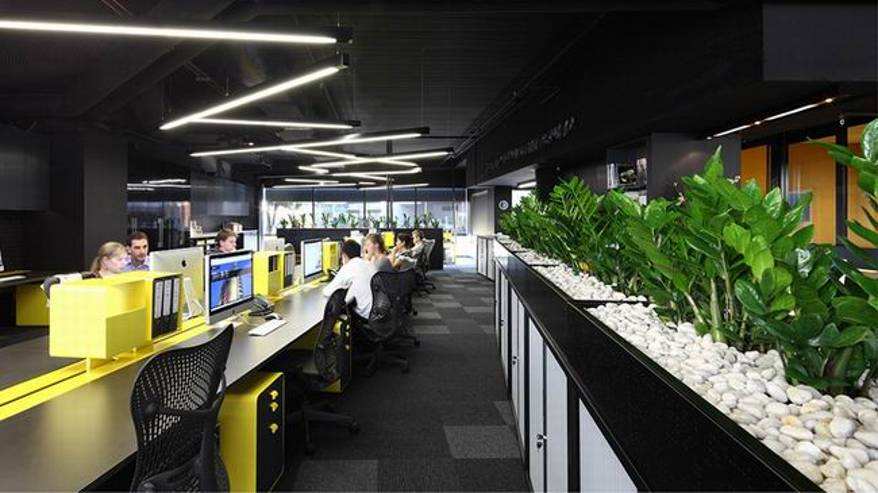 辦公室綠化裝飾的植物材料如何選擇